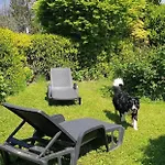 דירה Groundfloor Lakefront Garden Bike&boat& Scooter קוליקו