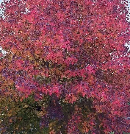 Apartament Ground Floor Lakeside Winter Escape Garden & Comfort On