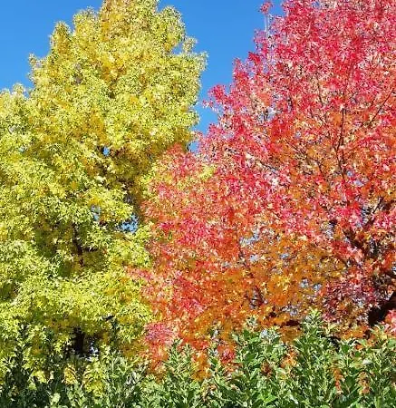 Ground Floor Lakeside Winter Escape Garden & Comfort On Apartament Colico