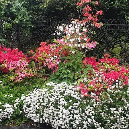 Apartament Ground Floor Lakeside Winter Escape Garden & Comfort On *