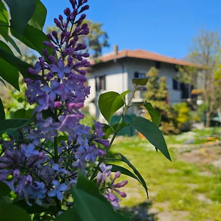 Ground Floor- Pet Friendly Stay-private Garden-parking-lake View - Bike Friendly House Apartmán