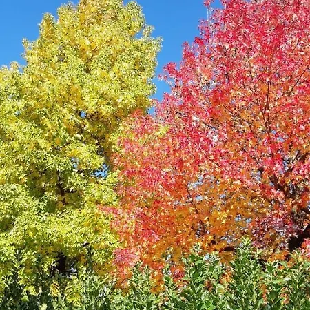 Apartament Ground Floor Lakeside Winter Escape Garden & Comfort On *