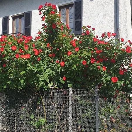 Apartament Ground Floor Lakeside Winter Escape Garden & Comfort On *