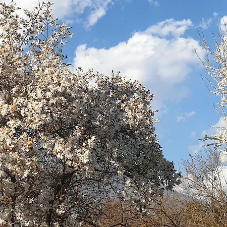 Apartament Ground Floor Lakeside Winter Escape Garden & Comfort On Colico