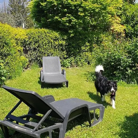 Appartement Ground Floor Lakeside Winter Escape Garden & Comfort On Colico