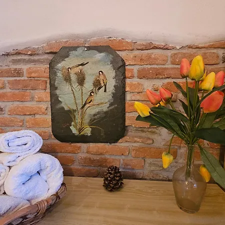 Apartment Ground Floor- Pet Friendly Stay-private Garden-parking-lake View - Bike Friendly House Colico