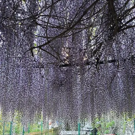 Ground Floor Lakeside Winter Escape Garden & Comfort On * Colico