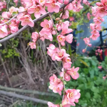 Ground Floor Lakeside Winter Escape Garden & Comfort On