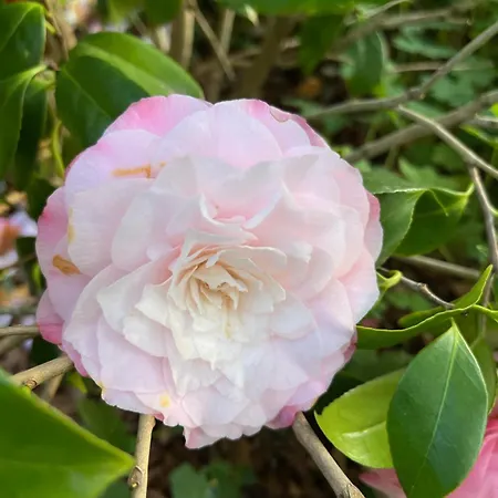 Ground Floor Lakeside Winter Escape Garden & Comfort On *