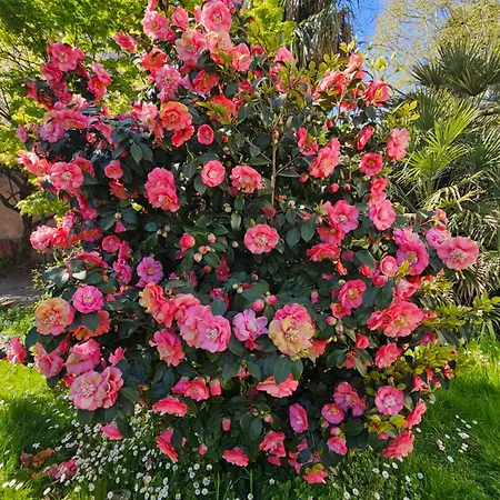 Ground Floor Lakeside Winter Escape Garden & Comfort On * Colico