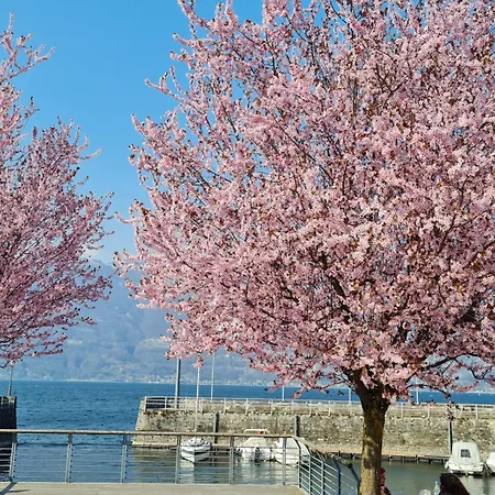 Ground Floor Lakeside Winter Escape Garden & Comfort On Appartamento