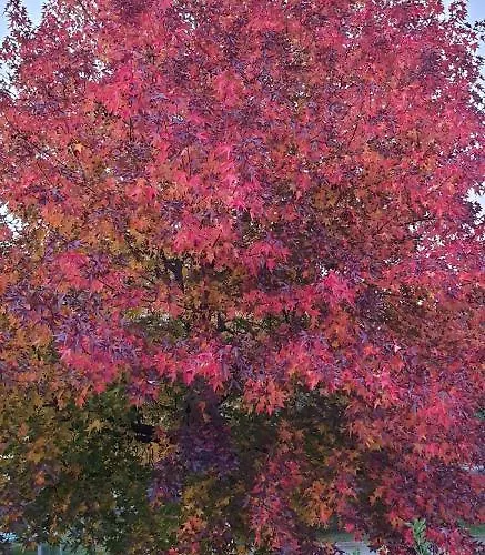 Апартаменты Ground Floor Lakeside Winter Escape Garden & Comfort On