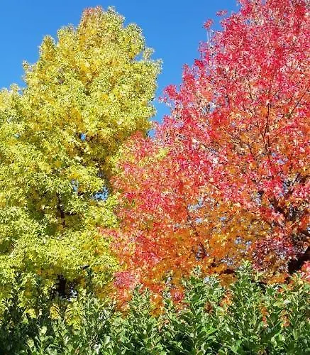 Ground Floor Lakeside Winter Escape Garden & Comfort On Апартаменты Колико