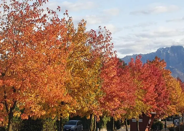 Апартаменты Ground Floor Lakeside Winter Escape Garden & Comfort On *