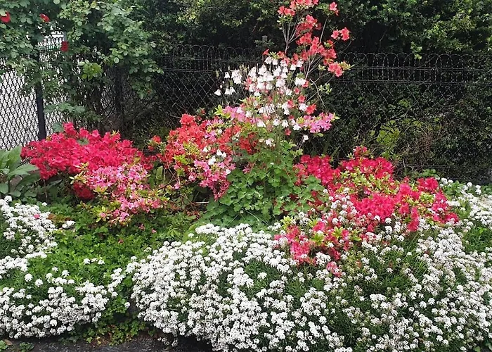 아파트 Ground Floor Lakeside Winter Escape Garden & Comfort On *