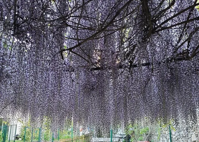 Ground Floor Lakeside Winter Escape Garden & Comfort On * 콜리코