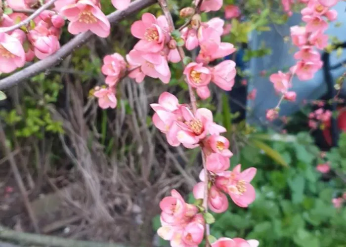 Groundfloor Lakefront Garden Bike&boat& Scooter
