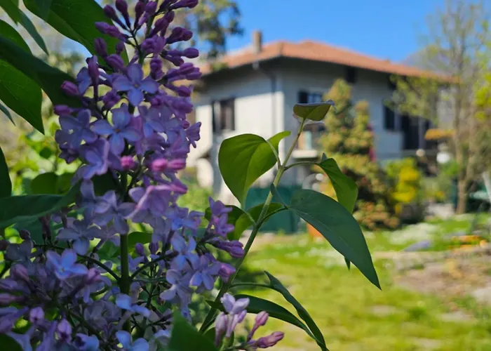 Groundfloor Lakefront Garden Bike&boat& Scooter Apartamento