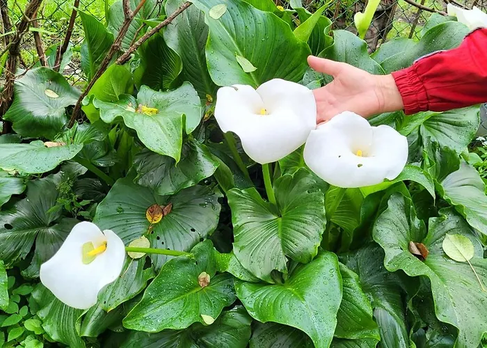 Ground Floor Lakeside Winter Escape Garden & Comfort On 아파트 *