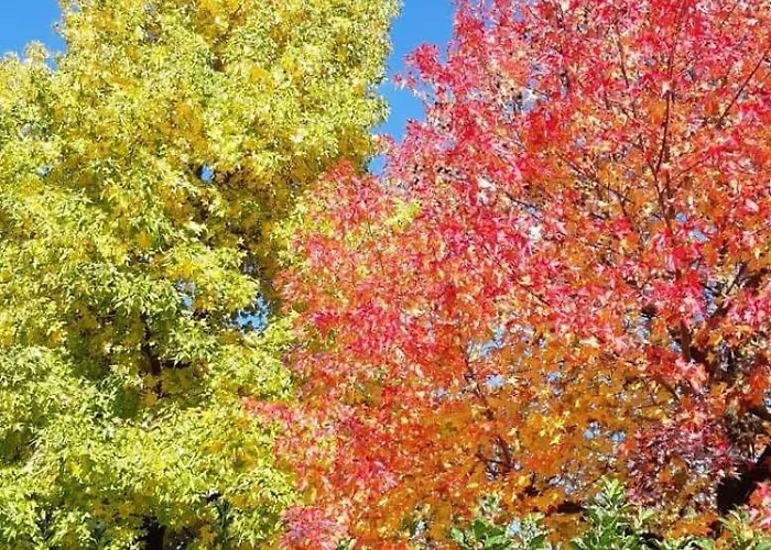 아파트 Ground Floor Lakeside Winter Escape Garden & Comfort On *