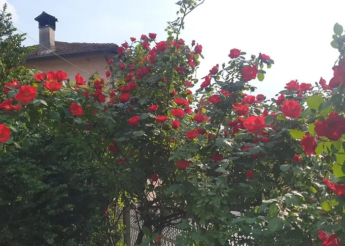 Ground Floor Lakeside Winter Escape Garden & Comfort On 아파트 콜리코