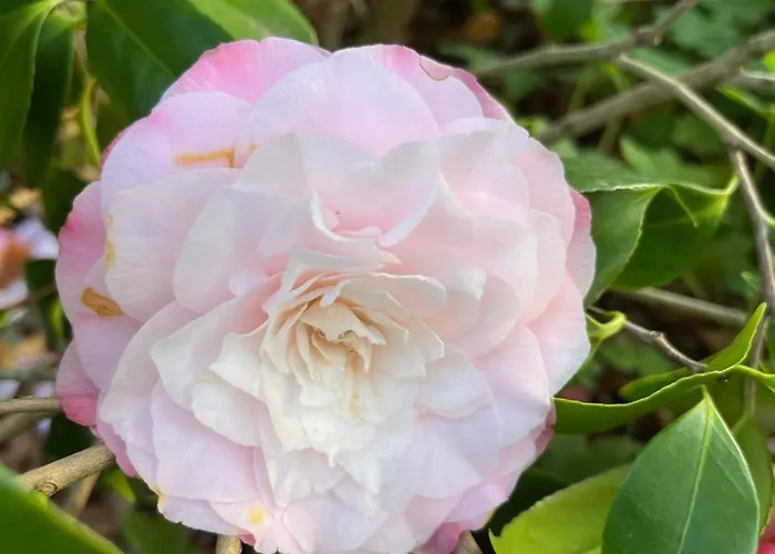 Ground Floor Lakeside Winter Escape Garden & Comfort On *