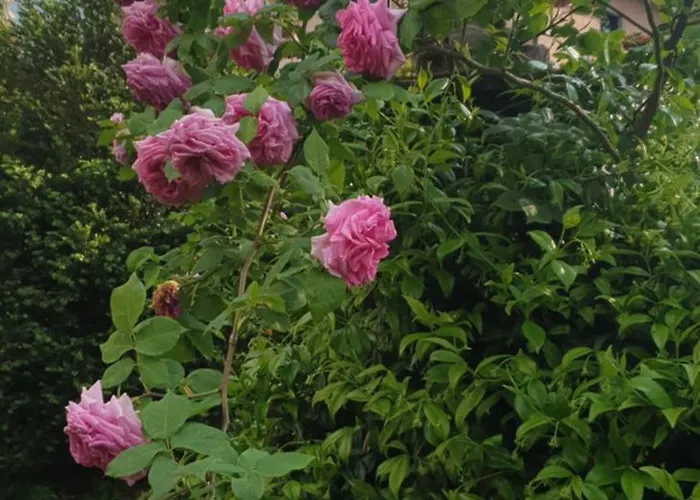 Ground Floor Lakeside Winter Escape Garden & Comfort On 콜리코