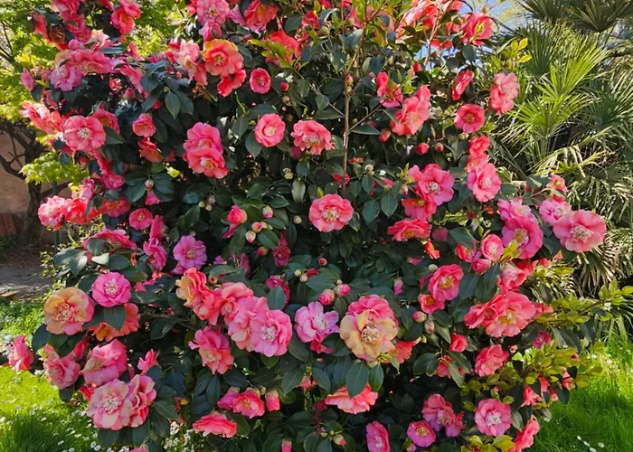 Ground Floor Lakeside Winter Escape Garden & Comfort On * Колико