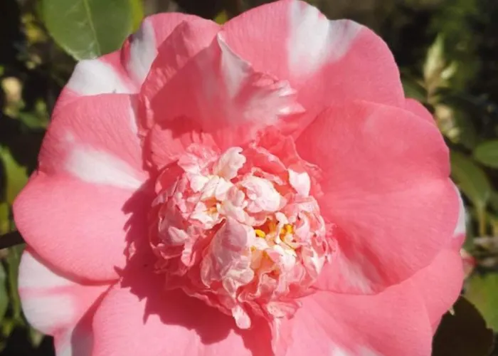 Ground Floor Lakeside Winter Escape Garden & Comfort On