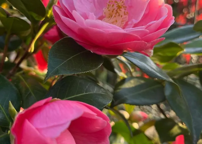 아파트 Ground Floor Lakeside Winter Escape Garden & Comfort On