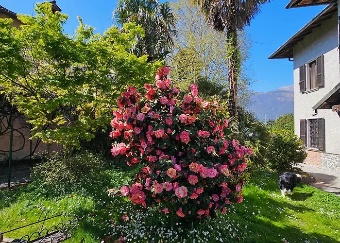 Groundfloor Lakefront Garden Bike&boat& Scooter Apartamento Colico