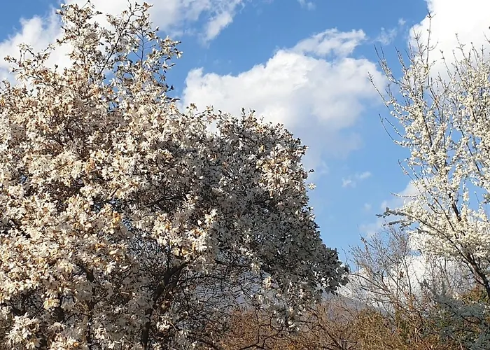 아파트 Ground Floor Lakeside Winter Escape Garden & Comfort On 콜리코