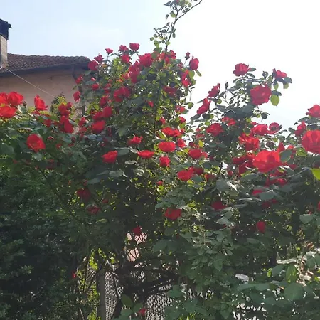 Ground Floor Lakeside Winter Escape Garden & Comfort On Apartamento Colico