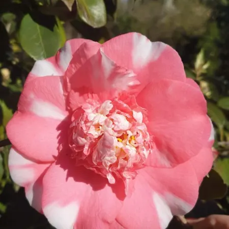 Ground Floor Lakeside Winter Escape Garden & Comfort On